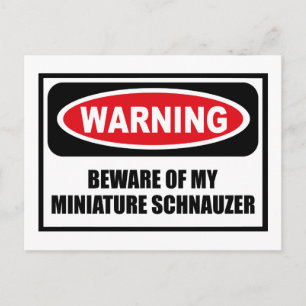 Warning BEWARE OF MY MINIATURE SCHNAUZER Postcard