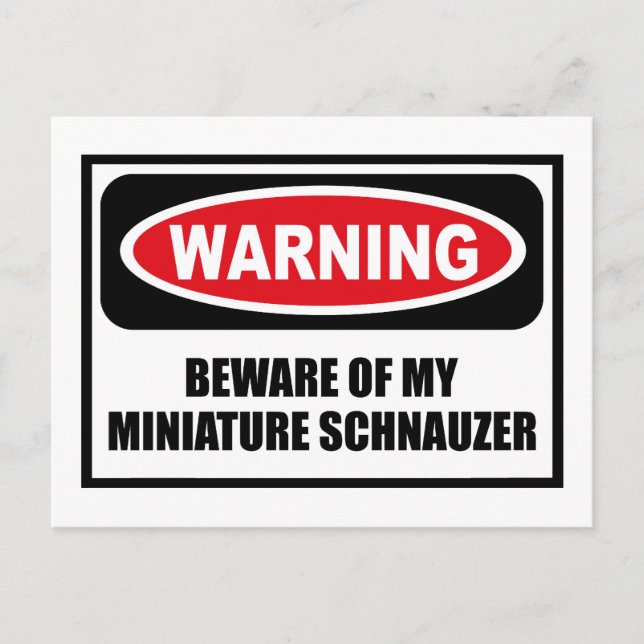 Warning BEWARE OF MY MINIATURE SCHNAUZER Postcard (Front)