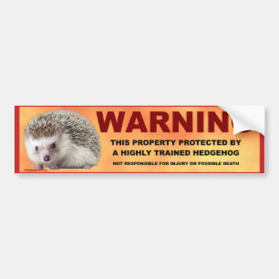WARNING BUMPER STICKER