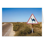 Warning Camels Ahead (Front Horizontal)