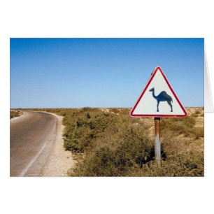 Warning Camels Ahead