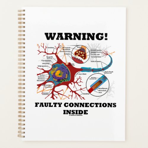Warning Faulty Connections Inside Neuron Synapse Planner