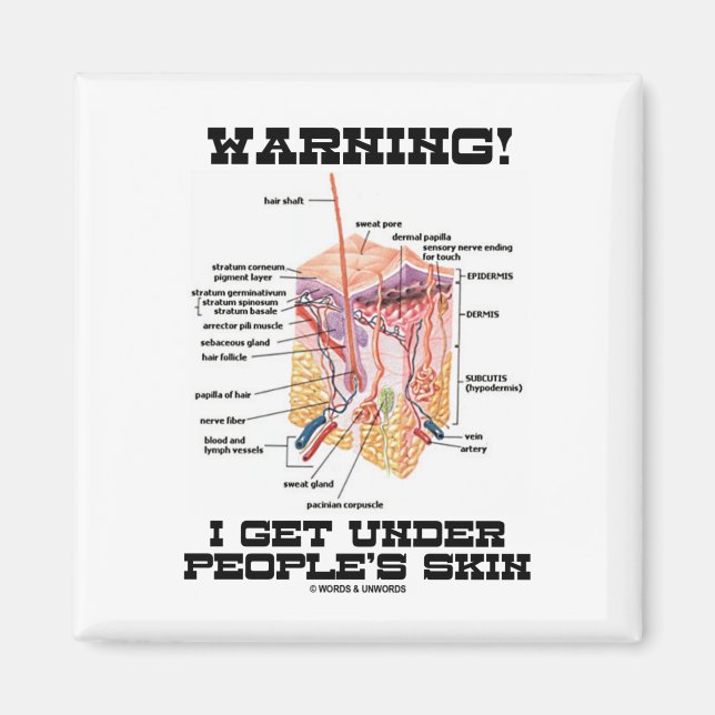 Warning! I Get Under People's Skin (Dermal Layers) Magnet (Front)