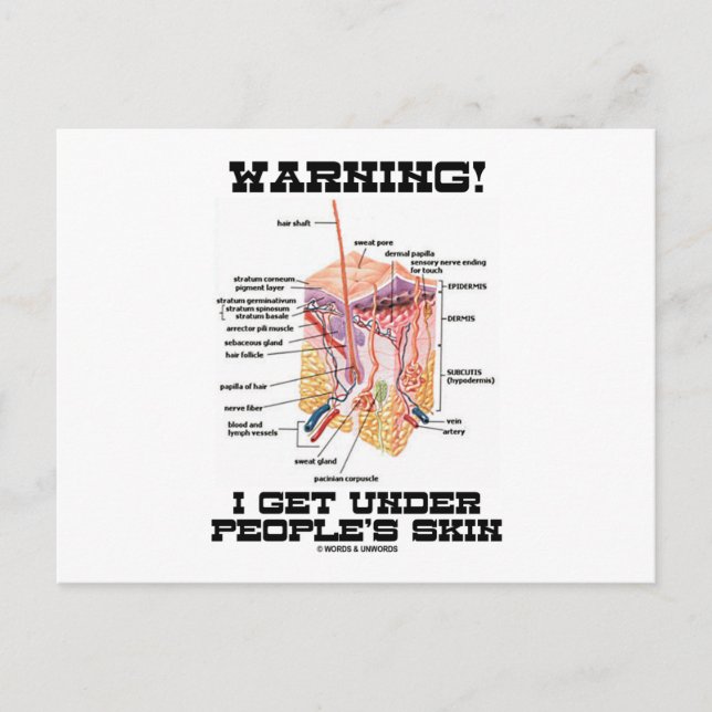 Warning! I Get Under People's Skin (Dermal Layers) Postcard (Front)