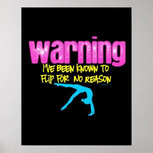 Warning: I Have Been Known to Flip For No Reason Poster