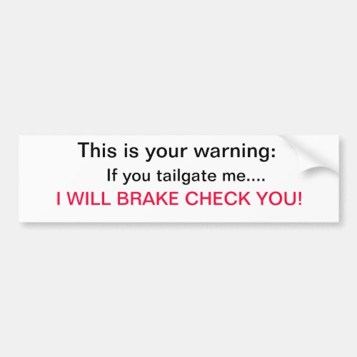 WarningI will break check you Bumper Sticker