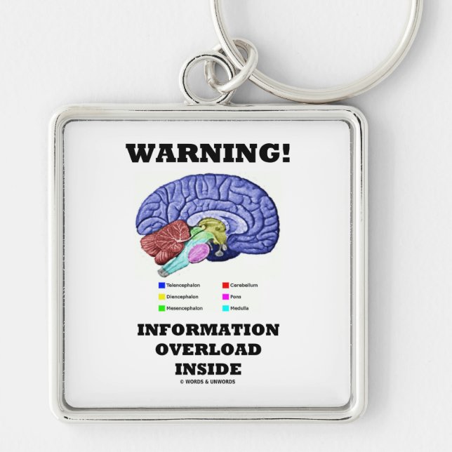 Warning! Information Overload Inside (Brain Humor) Keychain (Front)