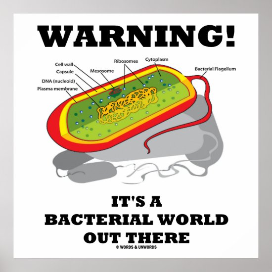 Warning! It's A Bacterial World Out There Poster