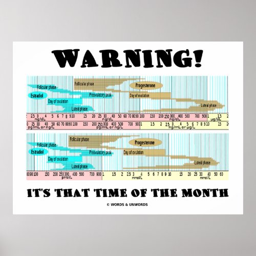 Warning Its That Time Of The Month Menstrual Poster