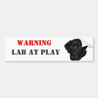 WARNING, Lab At Play Bumper Sticker