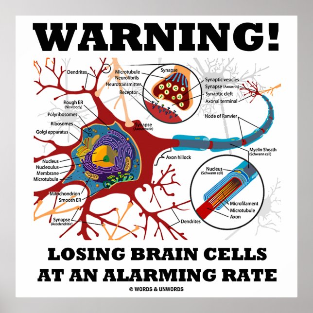 Warning! Losing Brain Cells At An Alarming Rate Poster (Front)