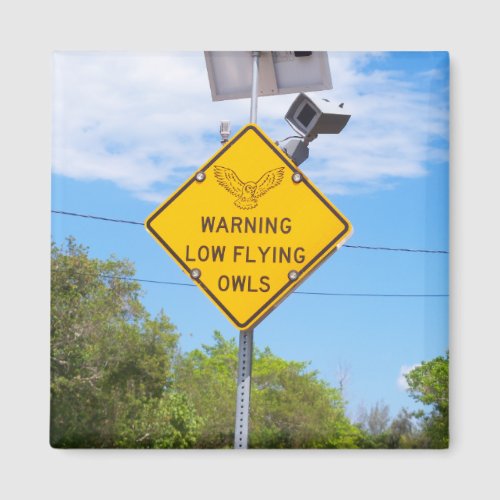 Warning Low Flying Owls Sign Magnet