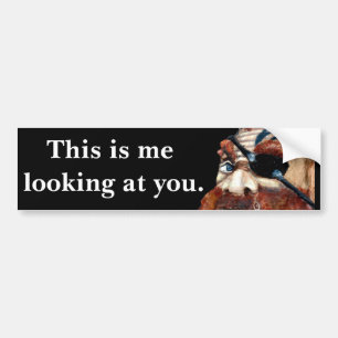 Warning Statement - Funny Scary Face Bumper Sticker