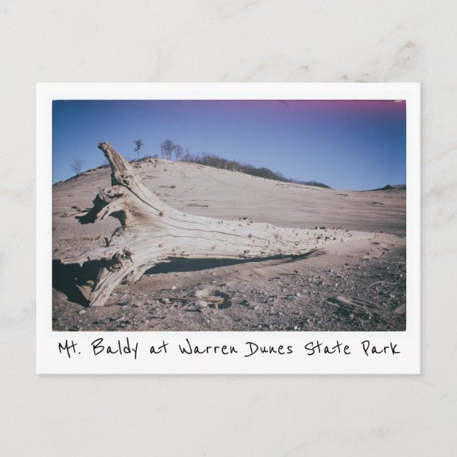 Warren Dunes State Park Mt. Baldy Michigan Postcard (Front)