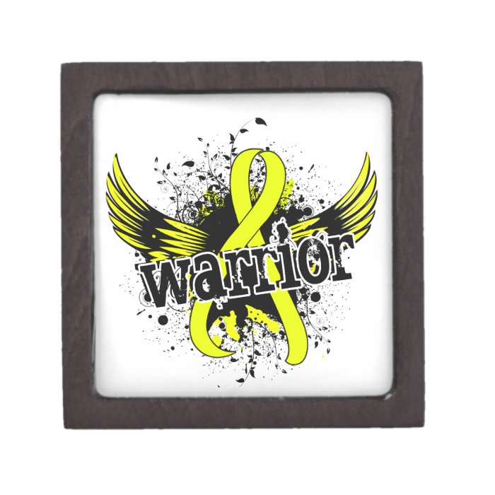 Warrior 16 Endometriosis Premium Jewelry Boxes