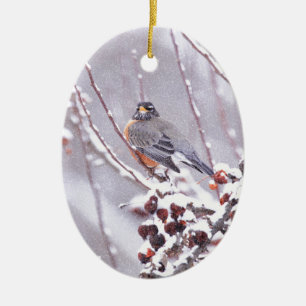 Warrior American Robin In Winter Ceramic Ornament