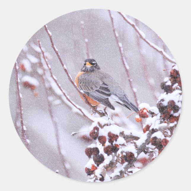 Warrior American Robin In Winter Classic Round Sticker (Front)