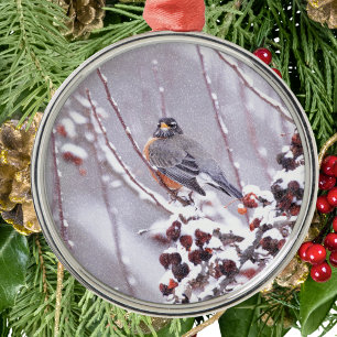 Warrior American Robin In Winter Metal Ornament