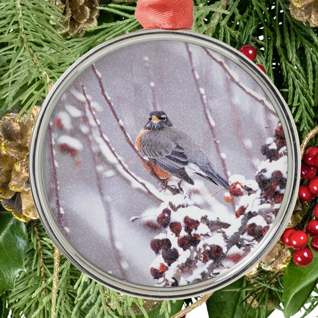 Warrior American Robin In Winter Metal Ornament (Creator Uploaded)