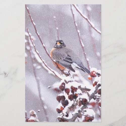 Warrior American Robin In Winter Stationery