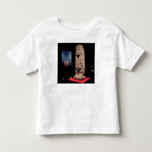 Warrior from the Toltec Culture Toddler T_shirt