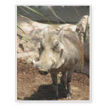 warthog-5.jpg temporary tattoos