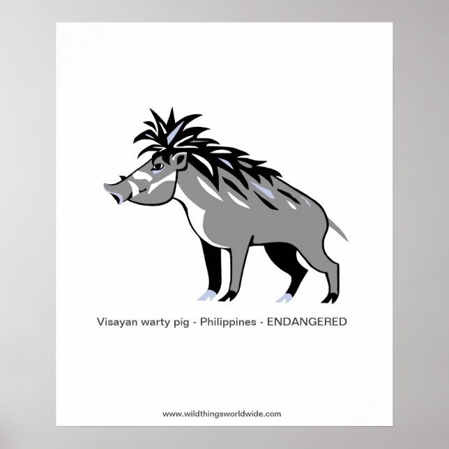 Warthog -Warty PIG - Endangered animal - wildlife  Poster (Front)