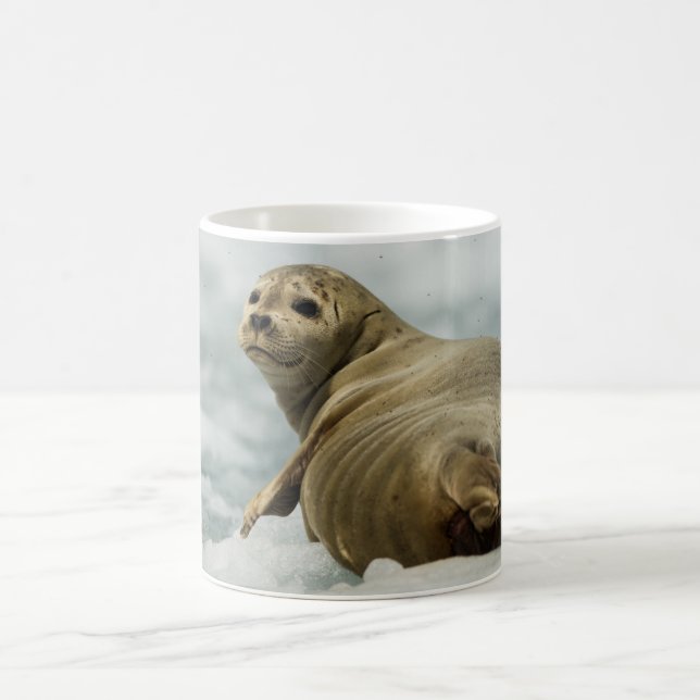 Wary Seal Coffee Mug (Center)