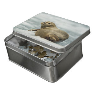 Wary Seal Jigsaw Puzzle