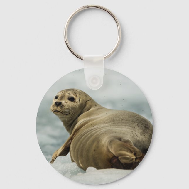 Wary Seal Keychain (Front)