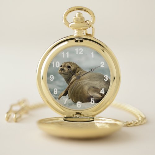 Wary Seal Pocket Watch