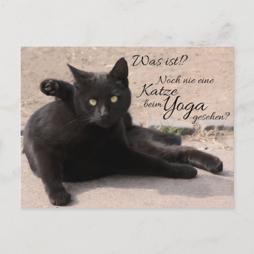 Was ist Noch nie eine Katze beim Yoga gesehen Postcard