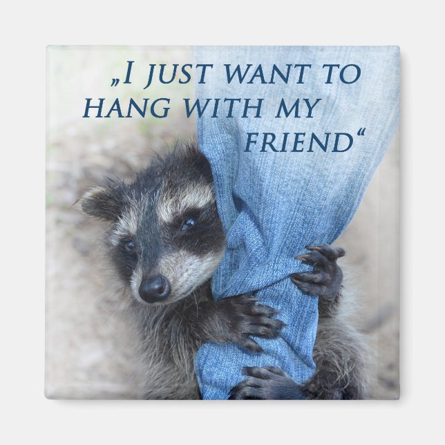 Waschbär  -  Abhängen Magnet (Front)