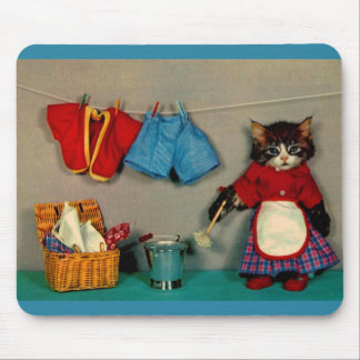 wash day for tabby kitten RPPC Mouse Pad