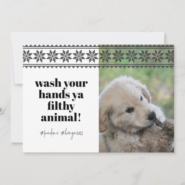 Wash Hands 2020 Funny Humor Sweater Cute Dog Photo Holiday Card (Front)
