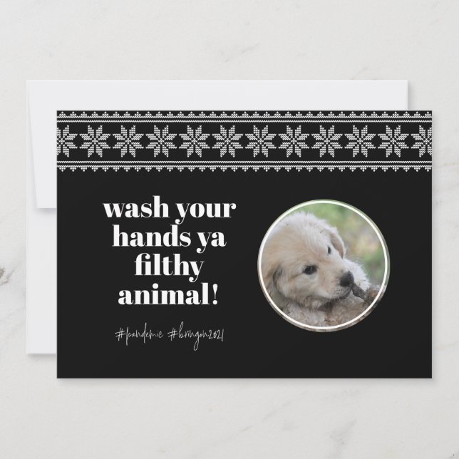 Wash Hands 2020 Funny Humor Sweater Cute Dog Photo Holiday Card (Front)