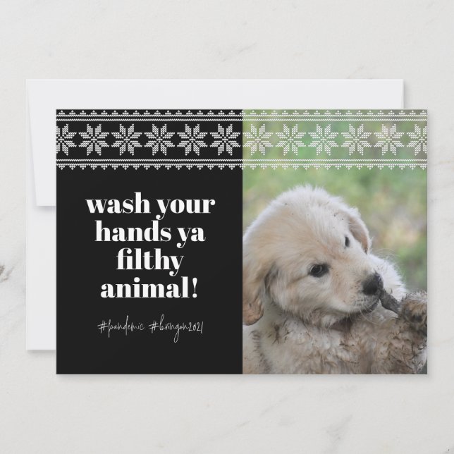 Wash Hands 2020 Funny Humor Sweater Cute Dog Photo Holiday Card (Front)