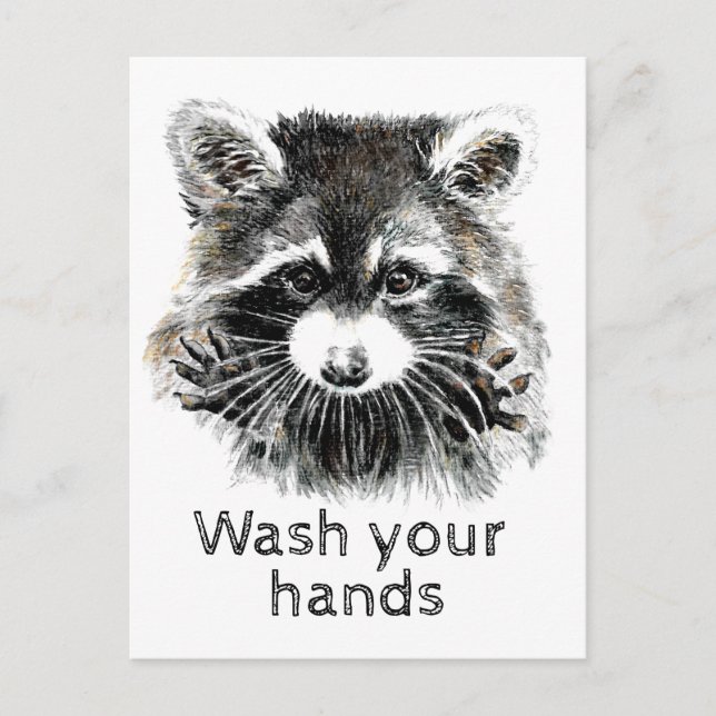 Wash Your Hands Raccoon Funny Are You Okay? Postcard (Front)