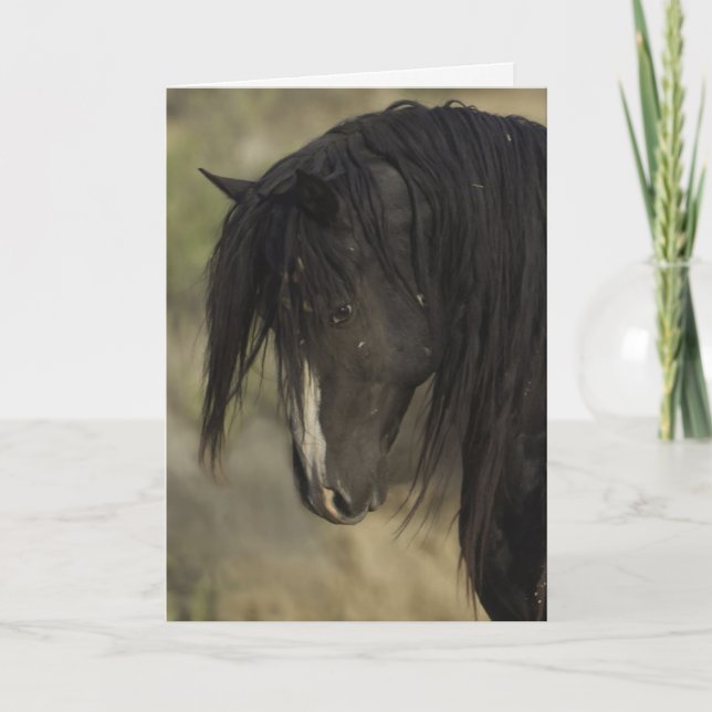 Washakie at Dawn Wild Horse Greeting Card (Front)