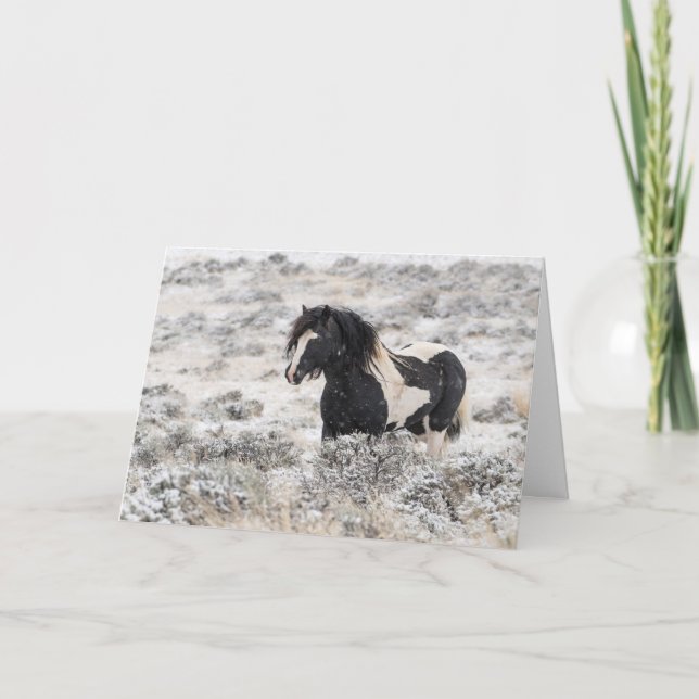 "Washakie in Winter" Holiday Card (Front)