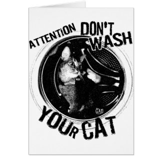 washcat cards