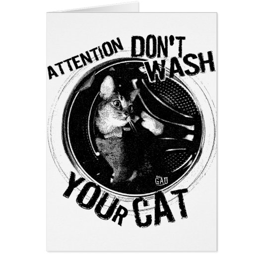 washcat cards (Front)