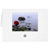 Washed Ashore Red Rose Cards (Back Horizontal)