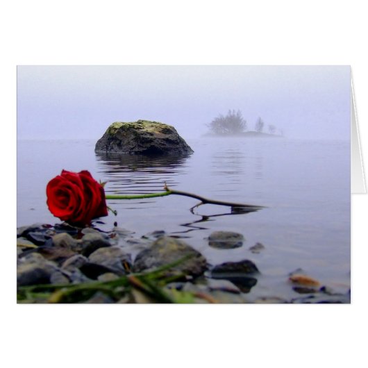 Washed Ashore Red Rose Cards (Front Horizontal)