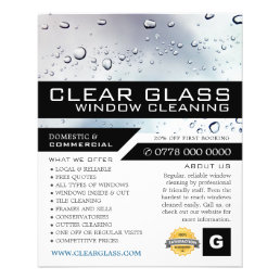 Washed Window, Window Cleaning Advertising Flyer