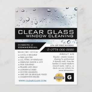 Washed Window, Window Cleaning Advertising Flyer
