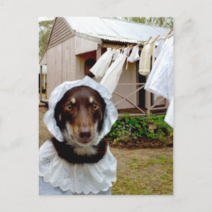 Washerwoman Postcard