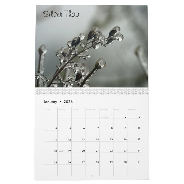 Washing State Calendar (Jan 2026)