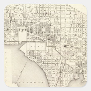Washington 4 square sticker