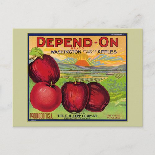 Washington Apples Postcard